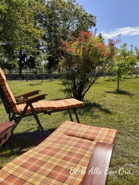 B&B Alla Bon'Ora Volpago del Montello Exteriér fotografie